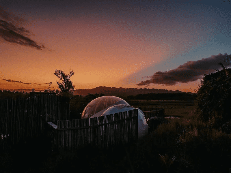 Green Land Bubble Glamping