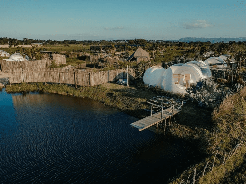 Green Land Bubble Glamping