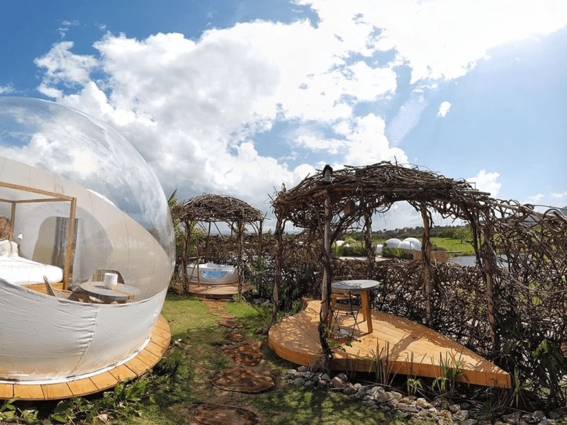 Green Land Bubble Glamping