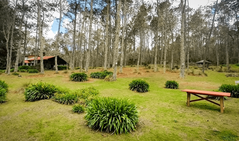 Villa Pajón Ecolodge