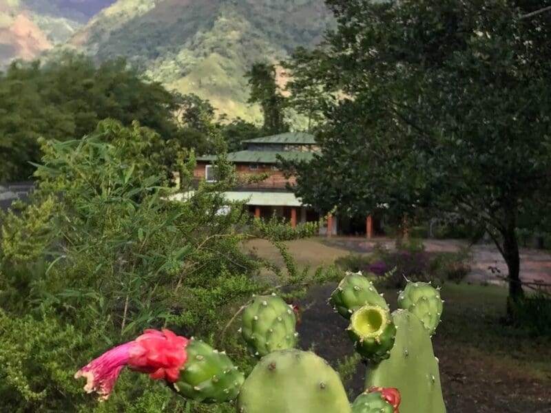 Complejo Ecoturístico Río Blanco